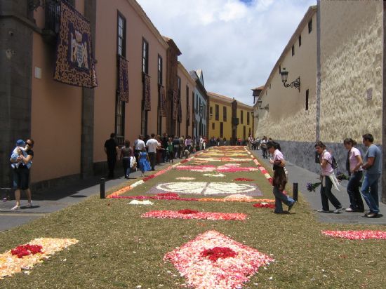 ALUMNOS Y MONITORES DE LA ESCUELA TALLER “SANTA EULALIA” REALIZAN UN VIAJE DE ESTUDIOS A TENERIFE, Foto 3