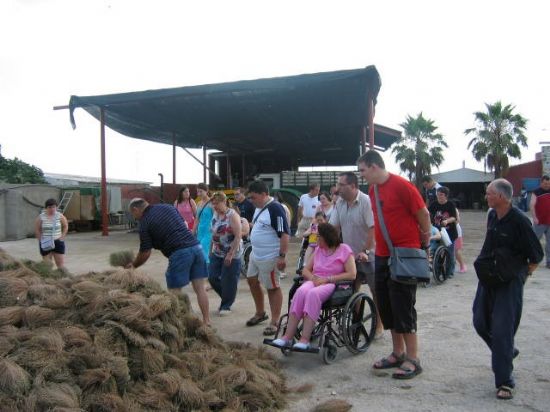 LOS ALUMNOS DEL CENTRO OCUPACIONAL JOSÉ MOYÁ TRILLA VISITAN UNA PLANTA DE TRANSFORMACIÓN DE ESENCIAS DE TOTANA   , Foto 1