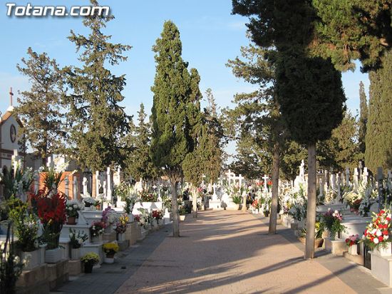 EL PRÓXIMO 16 DE JULIO A LAS 10 DE LA MAÑANA TENDRÁ LUGAR UNA SANTA MISA EN EL CEMENTERIO MUNICIPAL EN HONOR A NUESTRA SEÑORA DEL CARMEN, Foto 1