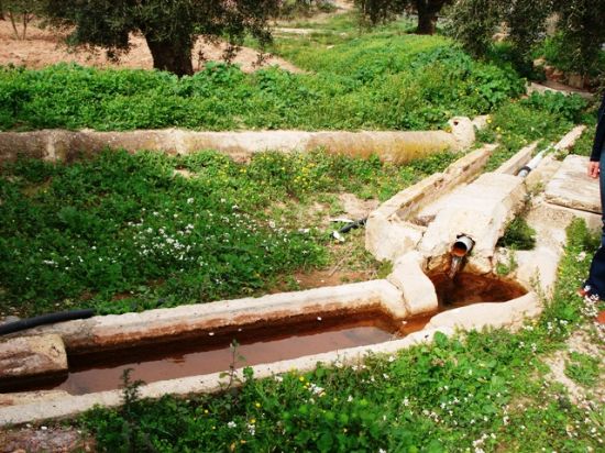 IU DENUNCIA LA SOBREEXPLOTACIÓN DEL ACUIFERO DE SIERRA ESPUÑA PARA USOS RESIDENCIALES, Foto 1
