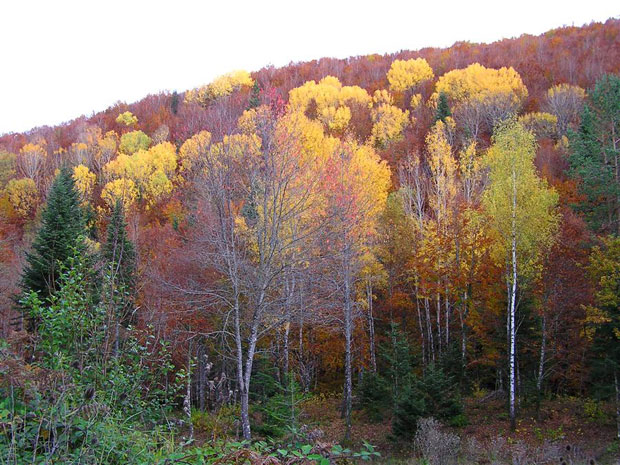 EL CLUB SENDERISTA TOTANA OFERTA SUS ÚLTIMAS PLAZAS PARA EL PIRINERO NAVARRO, Foto 2