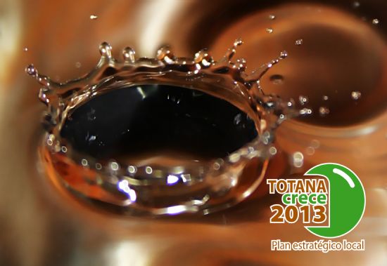 EL ALCALDE ANIMA AL TEJIDO ASOCIATIVO DEL MUNICIPIO A PARTICIPAR EN LA ELABORACIÓN DEL PLAN ESTRATÉGICO LOCAL “TOTANA CRECE 2013” QUE DEFINIRÁ LA TOTANA DEL FUTURO, Foto 2