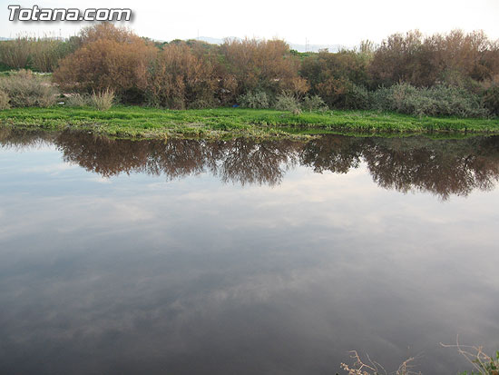 LA CONFEDERACIÓN HIDROGRÁFICA DEL SEGURA INVERTIRÁ MÁS DE 1,5 MILLONES DE EUROS EN LA REGENERACIÓN DEL RÍO GUADALENTÍN, Foto 1