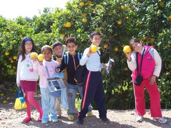 MÁS DE 1.900 ALUMNOS DE INFANTIL Y PRIMARIA REALIZAN CERCA DE 80 ITINERARIOS Y VISITAS A PARAJES DE INTERÉS MEDIOAMBIENTAL DEL MUNICIPIO DENTRO DEL PROGRAMA DE SENSIBILIZACIÓN “TOTANA Y SU ENTORNO”, Foto 3