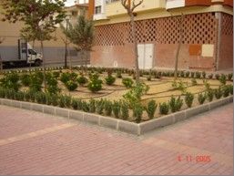 LA CONCEJALÍA DE SERVICIOS A LA CIUDAD REALIZA DIFERENTES ACTUACIONES DE ACONDICIONAMIENTO DE JARDINERIA Y ADORNO FLORAL EN LA PLAZA DE LA LIBERTAD   , Foto 1