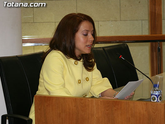 Plataforma No a este Plan Urbanístico - Comunicado al pleno municipal 18-4-08, Foto 1