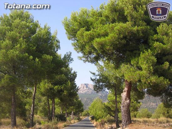 EL ALCALDE DE ALEDO CEDE PRESIDENCIA MANCOMUNIDAD SERVICIOS TURÍSTICOS SIERRA ESPUÑA AL PRIMER EDIL DE TOTANA EN EL ÚLTIMO MANDATO DE LEGISLATURA, Foto 1