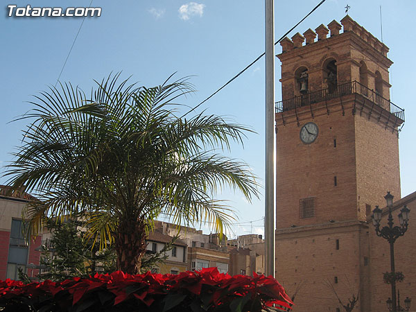 COLOCAN UNAS 1.000 FLORES DE PASCUA EN LOS DIFERENTES ESPACIOS VERDES DE LA CIUDAD DE TOTANA, Foto 3