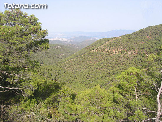 LA CONSEJERÍA DE MEDIO AMBIENTE ADECÚA UNA LÍNEA ELÉCTRICA PARA EVITAR LA MORTANDAD DE AVES EN EL PARQUE REGIONAL DE SIERRA ESPUÑA, Foto 1