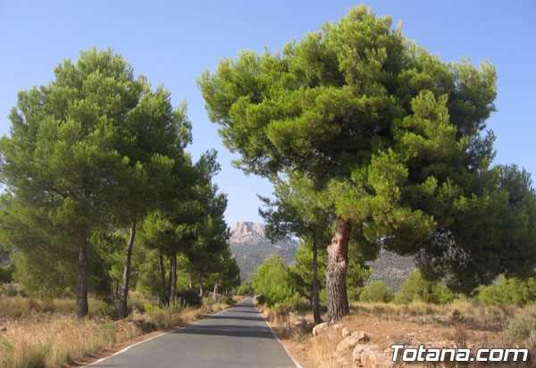 Los vecinos y propietarios colindantes con el Parque de Sierra Espuña se oponen a la creación de una franja de protección o preparque., Foto 2