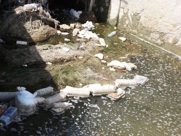 IU DENUNCIA QUE MILES DE PECES AGONIZAN EN LOS SIFONES DEL CANAL DEL TRASVASE, A SU PASO POR TOTANA, ANTE LA INDIGNACIÓN DE VECINOS Y LA PASIVIDAD DE RESPONSABLES MUNICIPALES Y DE CONFEDERACIÓN, Foto 5