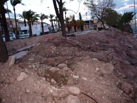 IU DE TOTANA DENUNCIA EL DEPLORABLE ESTADO EN QUE SE ENCUENTRA EL JARDIN DE LA CRUZ ROJA, Foto 3