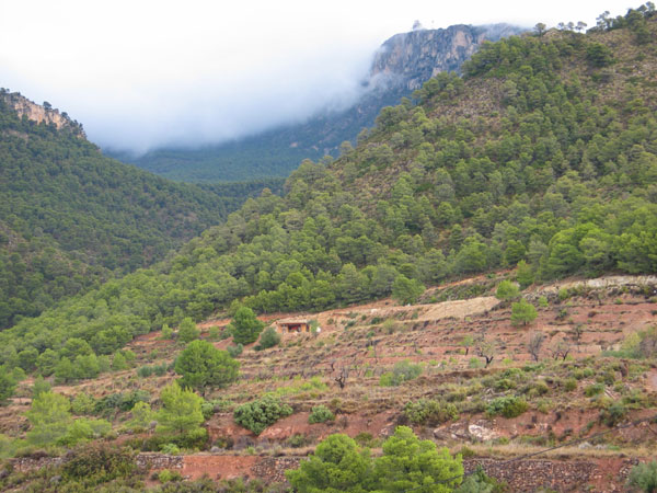 La Asociación de Vecinos de “Aldea del Purgatorio” y la Asociación de Ecologistas de la Región de Murcia han presentado un escrito al ayuntamiento con un total de 1500 firmas, Foto 1