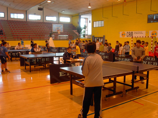 CON EL I TORNEO DE TENIS DE MESA INFANTIL, CONCLUYEN LAS ACTIVIDADES DEPORTIVAS DE LAS VII JORANADAS DE PROMOCIÓN DE LA SALUD, ORGANIZADAS POR LA CONCEJALÍA DE DEPORTES, Foto 3