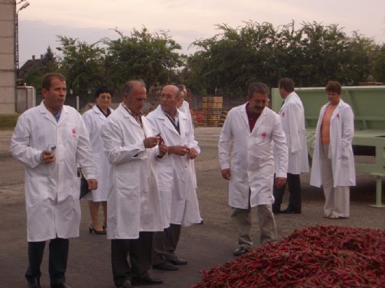 ALCALDE DECLARA INTENCIÓN DE PLANTEAR A LA CORPORACIÓN LA INICIACIÓN DEL PROCESO DE APROBACIÓN FORMAL DEL HERMANAMIENTO CON KALOCSA   , Foto 1