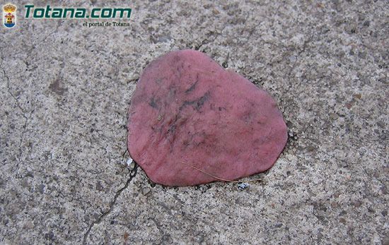 PLAN ANTICHICLES, Foto 1