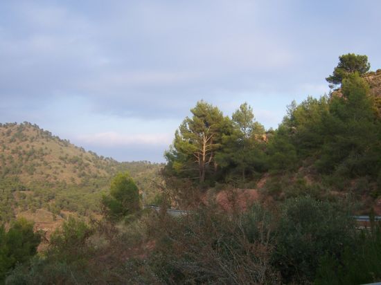 EL CONSISTORIO SOLICITARÁ PERMISO A LA DIRECCIÓN GENERAL DE MEDIO NATURAL PARA ARREGLAR LA CARRETERA MU-502, QUE VA HASTA LA “CASA DE LAS MONJAS”, EN EL CAMINO DEL PARQUE NATURAL DE SIERRA ESPUÑA, Foto 2