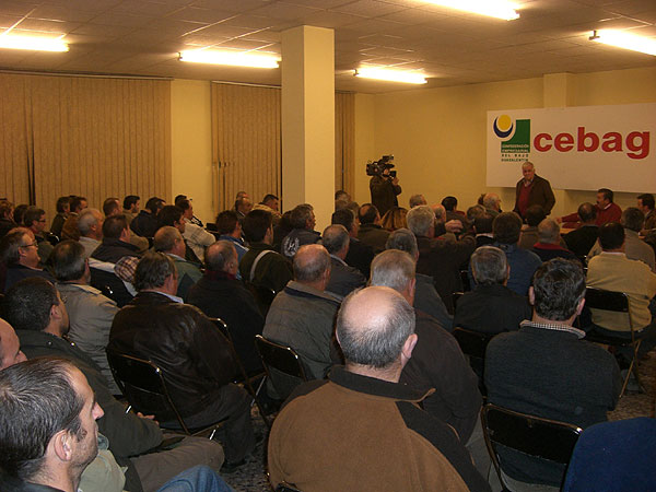 COAG DICE QUE LOS PRODUCTORES DE UVA AFECTADOS POR LAS LLUVIAS SE MOVILIZARÁN SI NO LES RECIBE EL CONSEJERO DE AGRICULTURA ESTA SEMANA, Foto 2