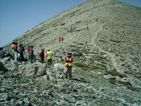 MIEMBROS DEL CLUB DE ATLETISMO ÓPTICA SANTA EULALIA PARTICIPARON EN LA II CARRERA DE MONTAÑA “COLLADOS DE LA SAGRA”, Foto 2