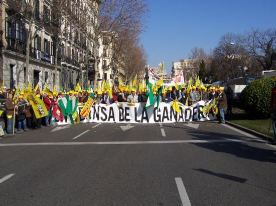 EL CONCEJAL DE AGRICULTURA Y GANADERÍA ACOMPAÑA AL MEDIO CENTENAR DE GANADEROS DE LA LOCALIDAD A LA MANIFESTACIÓN DE MADRID EN SUS REIVINDICACIONES POR LA CRISIS DEL SECTOR Y RECLAMAR AYUDAS AL MINISTERIO, Foto 2