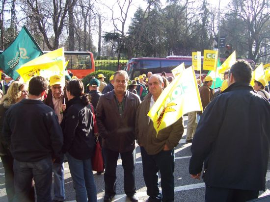 EL CONCEJAL DE AGRICULTURA Y GANADERÍA ACOMPAÑA AL MEDIO CENTENAR DE GANADEROS DE LA LOCALIDAD A LA MANIFESTACIÓN DE MADRID EN SUS REIVINDICACIONES POR LA CRISIS DEL SECTOR Y RECLAMAR AYUDAS AL MINISTERIO, Foto 3