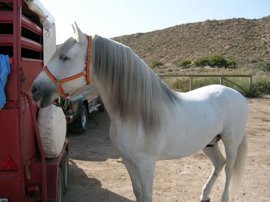 LA PLAYA MAZARRONERA DE PERCHELES PROTAGONISTA DE UNA GRABACIÓN DE TVE , Foto 9