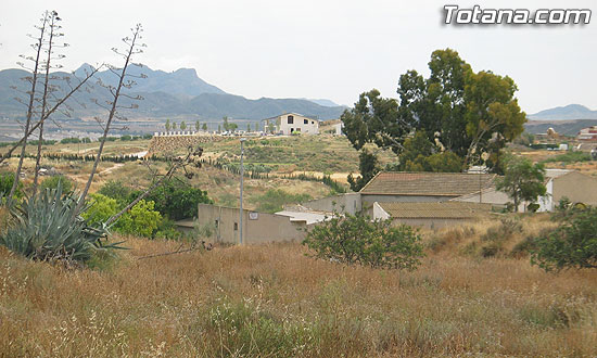 EL PP OFRECIÓ UNA RUEDA DE PRENSA PARA INFORMAR DE LOS PUNTOS MÁS IMPORTANTES DE SU PROGRAMA ELECTORAL EN MATERIA DE AGRICULTURA, GANADERÍA, AGUA Y DESARROLLO RURAL, Foto 3