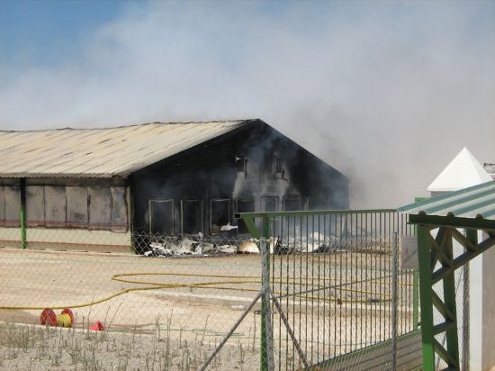 VOLUNTARIOS DE PROTECCIÓN CIVIL DE TOTANA Y BOMBEROS PARTICIPAN EN LA EXTINCIÓN DE UN INCENDIO PROCEDENTE DE UNA GRANJA DE AVES EN LA PEDANÍA DE EL PARETÓN Y DE UNA ESCOMBRERA, Foto 4