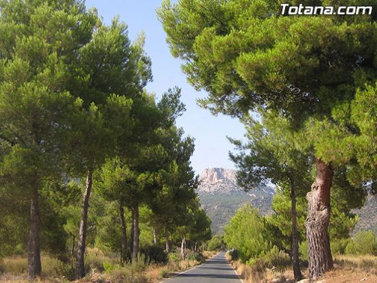 EL PSOE ACUSA AL PP DE ROMPER EL CONSENSO EN LA MANCOMUNIDAD DE SERVICIOS TURISTICOS DE SIERRA ESPUÑA, Foto 1