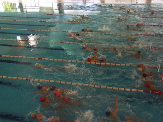 UN TOTAL DE 16 ESCOLARES DE LOS COLEGIOS “TIERNO GALVÁN” Y “REINA SOFÍA” PARTICIPAN EN LA FINAL REGIONAL ESCOLAR DE TRIATLÓN, CELEBRADA EN JUMILLA, Foto 3