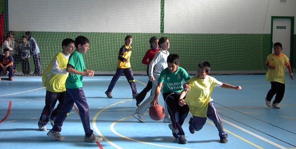 LA DIRECCION GENERAL DE DEPORTES HA ASIGNADO AL MUNICIPIO DE TOTANA LA FINAL REGIONAL DE DEPORTE ESCOLAR DE FUTBOL SALA LOS DÍAS 27 Y 28 DE MAYO , Foto 2