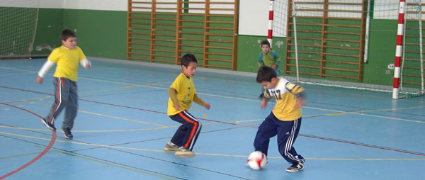 LA DIRECCION GENERAL DE DEPORTES HA ASIGNADO AL MUNICIPIO DE TOTANA LA FINAL REGIONAL DE DEPORTE ESCOLAR DE FUTBOL SALA LOS DÍAS 27 Y 28 DE MAYO , Foto 3
