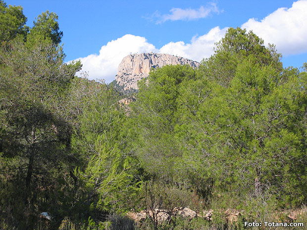 APESE PRESENTARA EL PROXIMO VIERNES AL CONCEJAL DE URBANISMO MAS DE 200 ALEGACIONES PERSONALES DE PROPIETARIOS OPONIENDOSE A LA FRANJA DE PROTECCIÓN DEL PERIMETRO DEL PARQUE DE SIERRA ESPUÑA, Foto 1