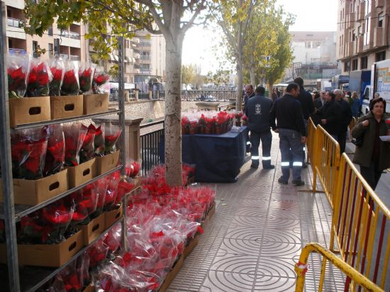 REPARTEN 1.000 MACETAS DE FLORES DE PASCUA EN EL MERCADILLO SEMANAL CON MOTIVO DE LA NAVIDAD, Foto 1