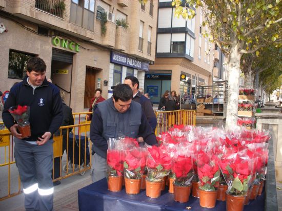 REPARTEN 1.000 MACETAS DE FLORES DE PASCUA EN EL MERCADILLO SEMANAL CON MOTIVO DE LA NAVIDAD, Foto 2