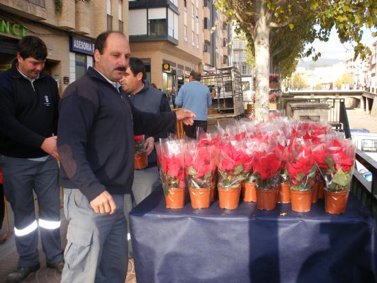 REPARTEN 1.000 MACETAS DE FLORES DE PASCUA EN EL MERCADILLO SEMANAL CON MOTIVO DE LA NAVIDAD, Foto 4