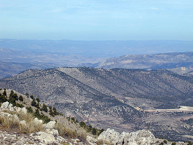 INTEGRANTES DE LA ASOCIACIÓN DEPORTIVA PEÑA LAS NUEVE CON LA PEÑA RUTASMTBMURCIA ALCANZARON LA CUMBRE DE LA MONTAÑA MAS ALTA DE MURCIA EN BICICLETA DE MONTAÑA LOS REVOLCADORES, Foto 3