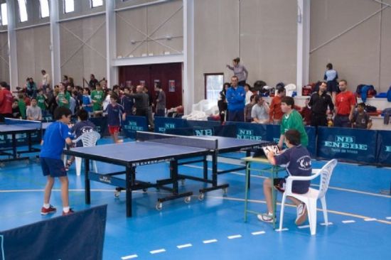 LOS ALUMNOS DE LA ESCUELA DEPORTIVA MUNICIPAL DE TENIS DE MESA PARTICIPARÁN, EL PRÓXIMO DÍA 8 DE MARZO, EN LA SEGUNDA FASE DE LA LIGA REGIONAL EN PRIMERA AUTONÓMICA (2008), Foto 2