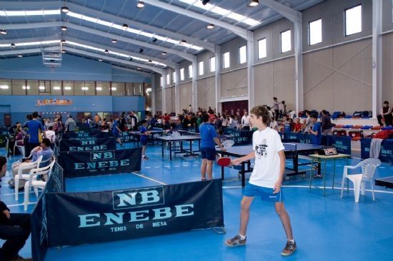 LOS ALUMNOS DE LA ESCUELA DEPORTIVA MUNICIPAL DE TENIS DE MESA PARTICIPARÁN, EL PRÓXIMO DÍA 8 DE MARZO, EN LA SEGUNDA FASE DE LA LIGA REGIONAL EN PRIMERA AUTONÓMICA (2008), Foto 5