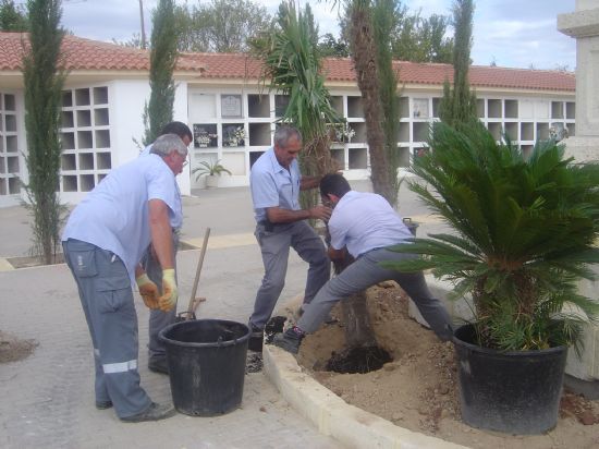 AYUNTAMIENTO INVIERTE 40.000 EUROS EN LA CONSTRUCCIÓN DE 44 FOSAS QUE SOLUCIONAN PROBLEMAS LISTAS DE ESPERA, Foto 1