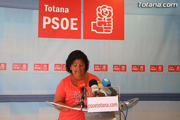 El PSOE asegura que Martínez Andreo utiliza el Pleno para insultar y atacar a la oposición (2008), Foto 1