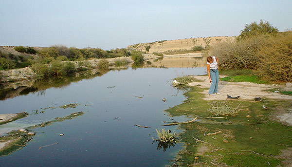 LOS CONCEJALES DE IU DENUNCIAN EL AUMENTO DE AGUAS CONTAMINADAS EN EL CAUCE DEL GUADALENTÍN, A SU PASO POR TOTANA, Foto 2