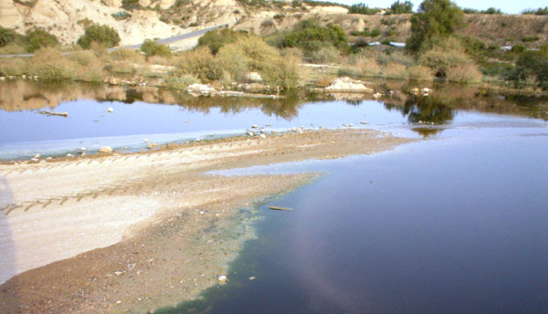 LOS CONCEJALES DE IU DENUNCIAN EL AUMENTO DE AGUAS CONTAMINADAS EN EL CAUCE DEL GUADALENTÍN, A SU PASO POR TOTANA, Foto 3