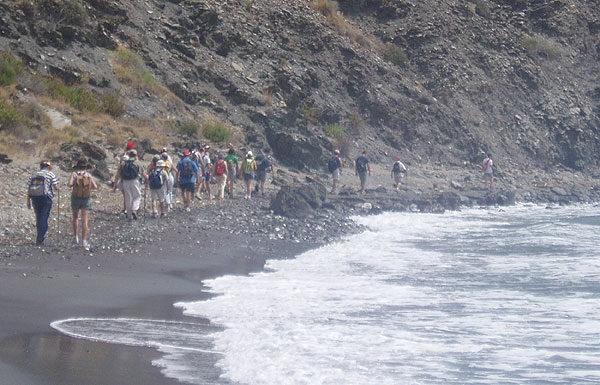 LA CONCEJALIA DE DEPORTES CLAUSURA EL PROGRAMA DE SENDERISMO PRIMAVERA´2005 CON UNA SALIDA AL PARQUE MARINA COPE Y PUNTAS DE CALNEGRE   , Foto 1