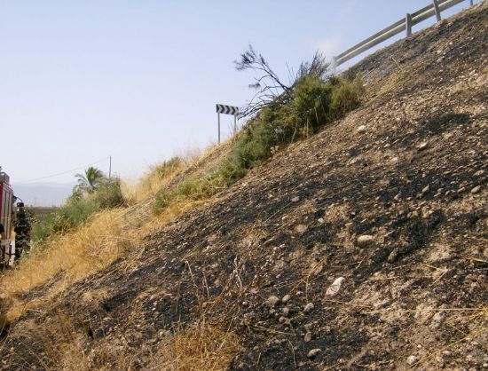 VOLUNTARIOS DE PROTECCION CIVIL DE TOTANA PARTICIPAN EN LAS LABORES DE EXTINCIÓN DE UN INCENDIO JUNTO AL PUENTE DE LA VIA DEL TREN (2007), Foto 2