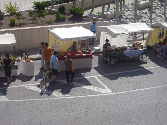 AYUNTAMIENTO ABOGA POR IMPULSO POLÍTICAS DESARROLLO SOSTENIBLE DÍA MUNDIAL DEL MEDIO AMBIENTE , Foto 2
