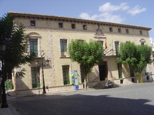 El pleno aprueba apoyo iniciativas tendentes a mejorar la calidad asistencial de los enfermos mentales y la construcción de un centro de enseñanza de infantil y primaria en el barrio tirol-camilleri, Foto 1