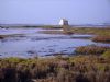 EL CLUB SENDERISTA DE TOTANA RECORRIO EL PARQUE NATURAL DE LAS SALINAS Y ARENALES DE SAN PEDRO DEL PINATAR