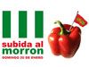 III SUBIDA AL MORRN