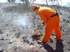 EFECTIVOS DE PROTECCIN CIVIL DE TOTANA PARTICIPAN EN LAS LABORES DE EXTINCIN DEL INCENDIO EN LA SIERRA DE CARRASCOY   